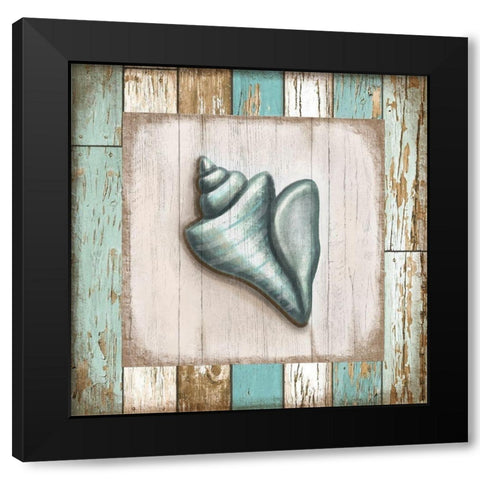 Turquoise Seashell Black Modern Wood Framed Art Print with Double Matting by Tyndall, Elizabeth