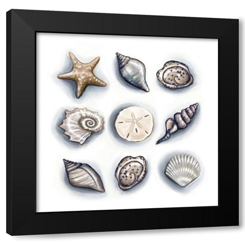 Oasis Shells Black Modern Wood Framed Art Print with Double Matting by Tyndall, Elizabeth