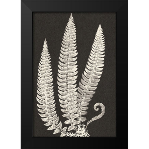 Vintage Ferns Black Modern Wood Framed Art Print by JJ Design