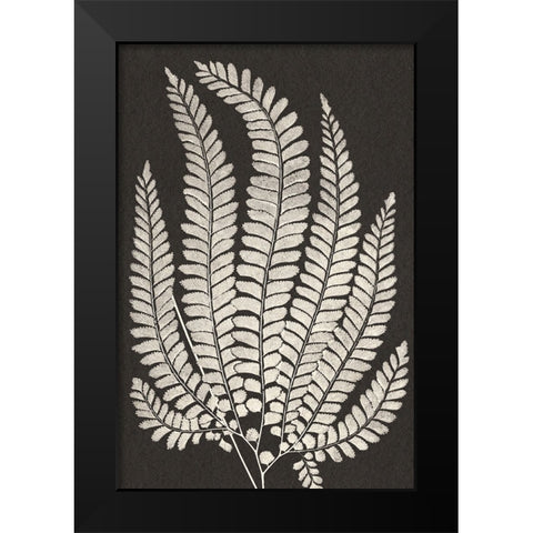 Vintage Ferns II Black Modern Wood Framed Art Print by JJ Design
