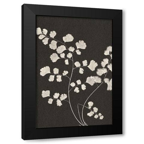 Vintage Ferns III Black Modern Wood Framed Art Print by JJ Design