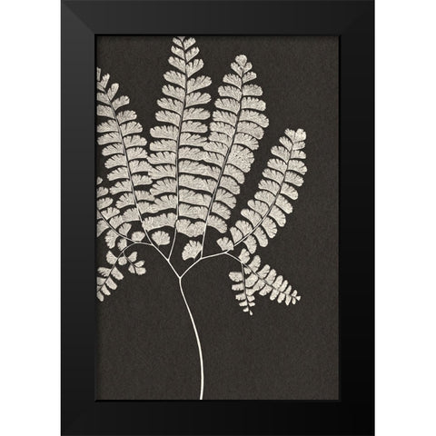 Vintage Ferns IV Black Modern Wood Framed Art Print by JJ Design