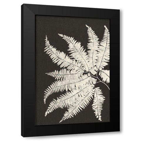 Vintage Ferns V Black Modern Wood Framed Art Print by JJ Design