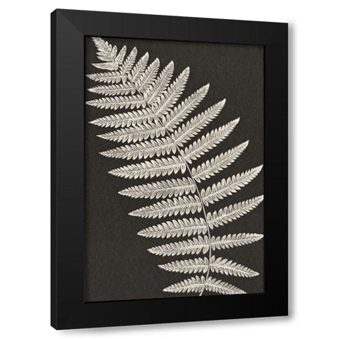 Vintage Ferns VI Black Modern Wood Framed Art Print with Double Matting by JJ Design