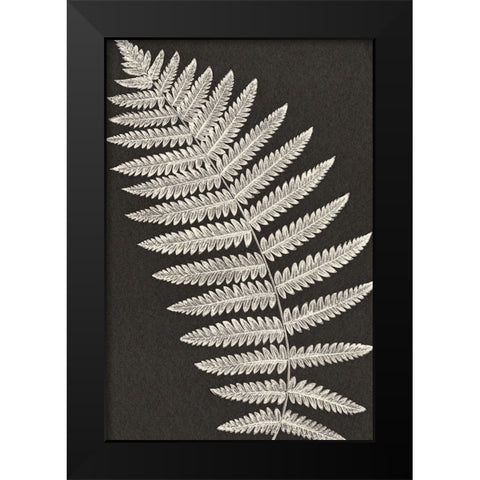 Vintage Ferns VI Black Modern Wood Framed Art Print by JJ Design