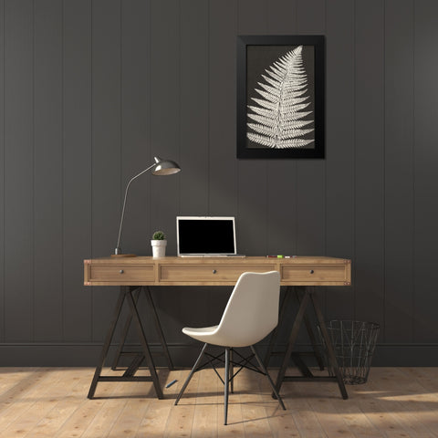 Vintage Ferns VII Black Modern Wood Framed Art Print by JJ Design
