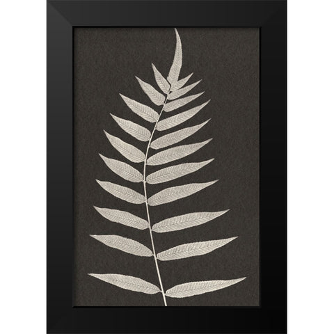 Vintage Ferns VIII Black Modern Wood Framed Art Print by JJ Design