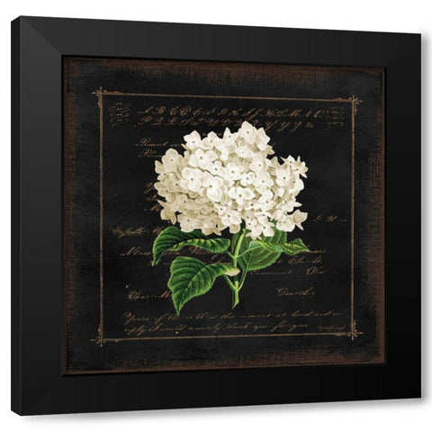 Floral IV Black Modern Wood Framed Art Print with Double Matting by Pugh, Jennifer