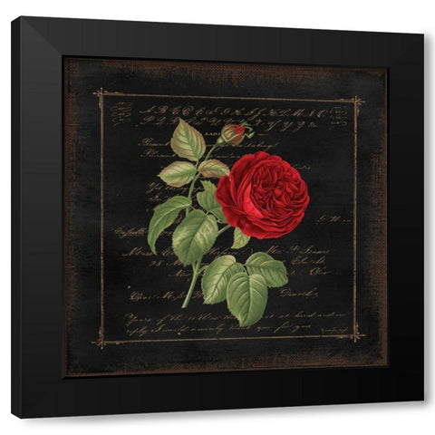 Floral V Black Modern Wood Framed Art Print with Double Matting by Pugh, Jennifer