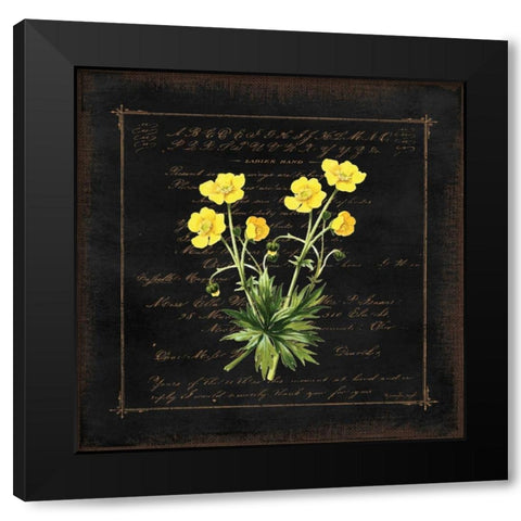 Floral VI Black Modern Wood Framed Art Print with Double Matting by Pugh, Jennifer