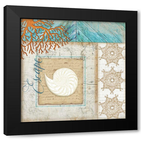 Coastal Nautilus Shell Black Modern Wood Framed Art Print with Double Matting by Pugh, Jennifer