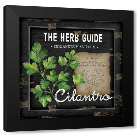 Herb Guide Cilantro Black Modern Wood Framed Art Print by Pugh, Jennifer