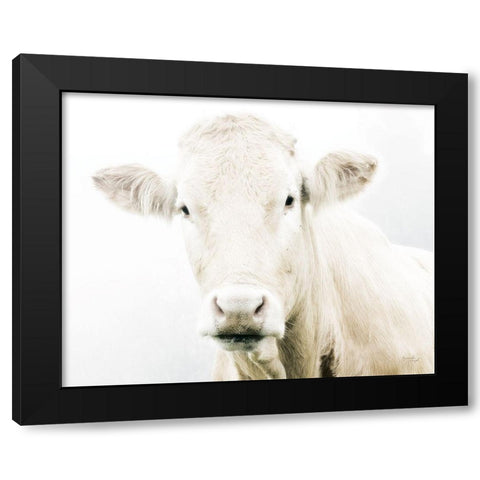 Cow II Black Modern Wood Framed Art Print with Double Matting by Pugh, Jennifer