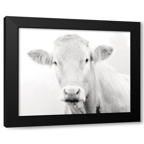 Cow III Black Modern Wood Framed Art Print with Double Matting by Pugh, Jennifer