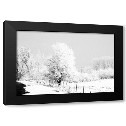 Winter Scene Black Modern Wood Framed Art Print with Double Matting by Pugh, Jennifer