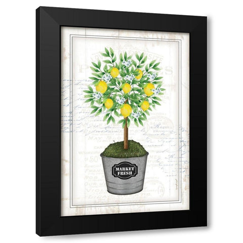 Lemon Topiary Black Modern Wood Framed Art Print with Double Matting by Pugh, Jennifer