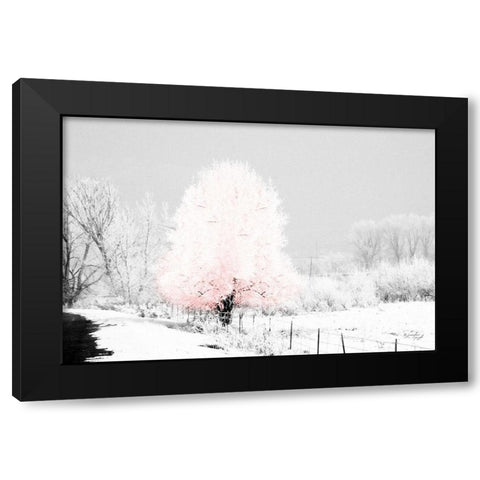 Pink Tree Black Modern Wood Framed Art Print with Double Matting by Pugh, Jennifer