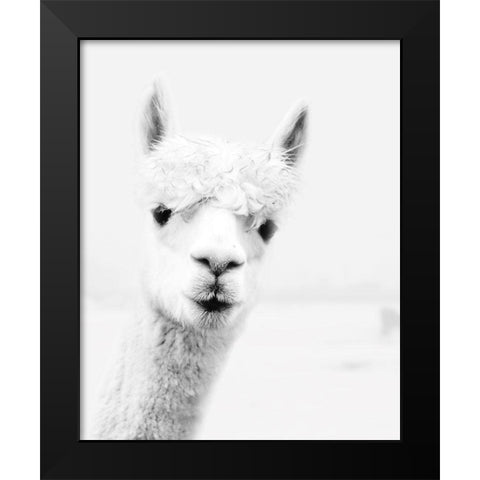 Llama Black Modern Wood Framed Art Print by Pugh, Jennifer