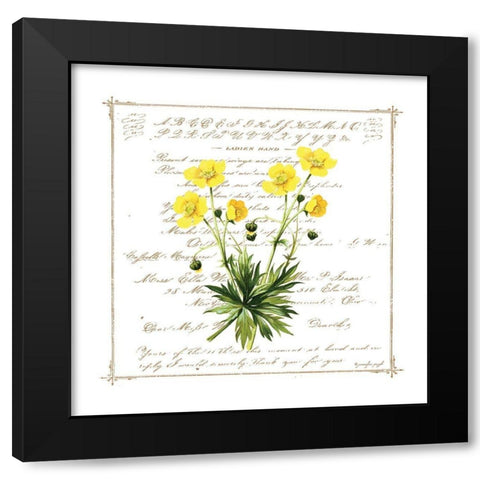 Floral VI Black Modern Wood Framed Art Print with Double Matting by Pugh, Jennifer