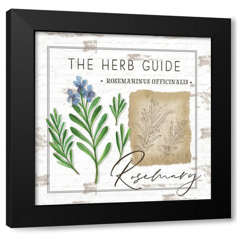 Herb Guide - Rosemary Black Modern Wood Framed Art Print with Double Matting by Pugh, Jennifer