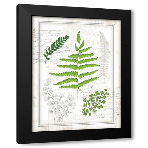 Ferns I Black Modern Wood Framed Art Print with Double Matting by Pugh, Jennifer