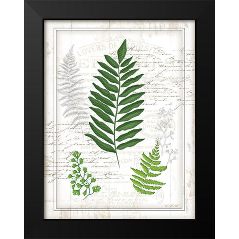 Ferns II Black Modern Wood Framed Art Print by Pugh, Jennifer