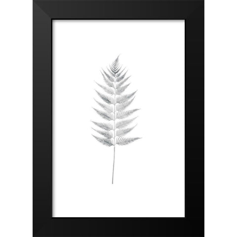 Palm I Black Modern Wood Framed Art Print by Pugh, Jennifer