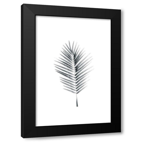 Palm II Black Modern Wood Framed Art Print with Double Matting by Pugh, Jennifer