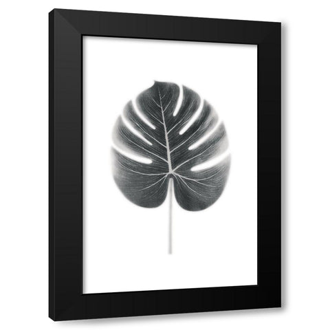 Palm III Black Modern Wood Framed Art Print with Double Matting by Pugh, Jennifer