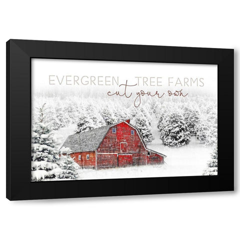 Evergreen Tree Farm Black Modern Wood Framed Art Print with Double Matting by Pugh, Jennifer