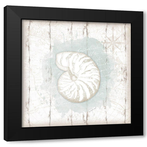 Calming Coastal Shell Black Modern Wood Framed Art Print with Double Matting by Pugh, Jennifer