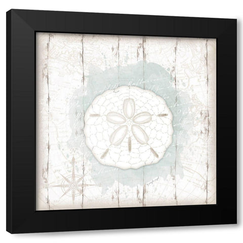 Calming Coastal Sand Dollar Black Modern Wood Framed Art Print by Pugh, Jennifer