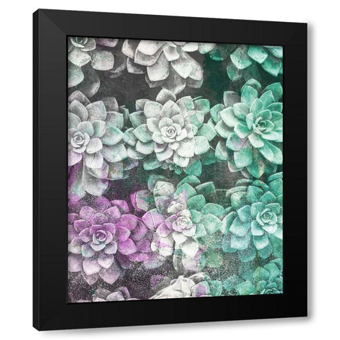 Colored Succulents Black Modern Wood Framed Art Print with Double Matting by Brown, Kyra
