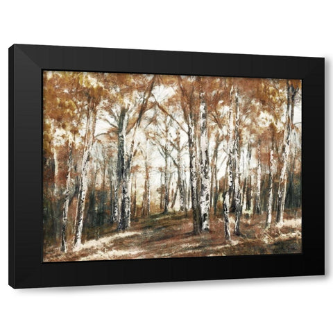 Rusted Hearth Birch Trees Black Modern Wood Framed Art Print with Double Matting by Blue, Nina