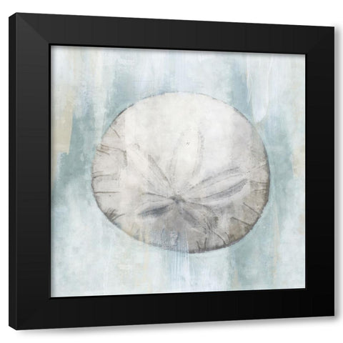 Sand Dollar Black Modern Wood Framed Art Print with Double Matting by Blue, Nina