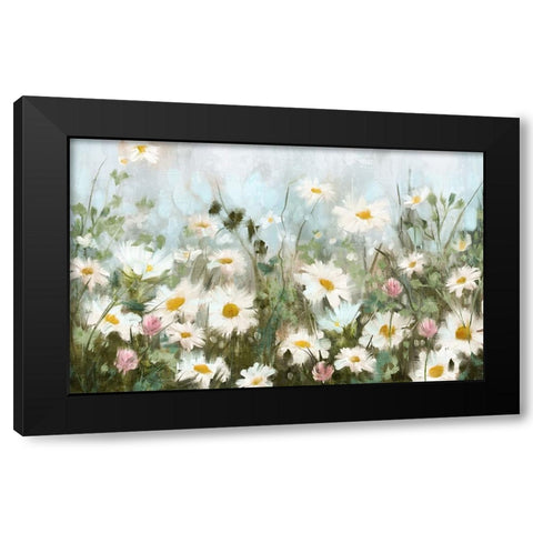 Field of Daisies Black Modern Wood Framed Art Print with Double Matting by Blue, Nina