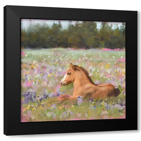 Spring Time Foal Black Modern Wood Framed Art Print by Blue, Nina