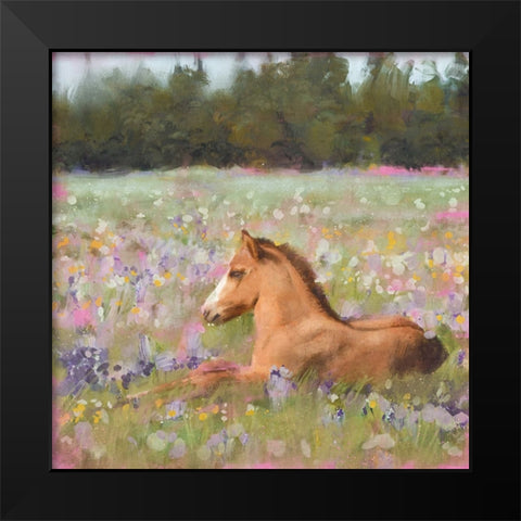 Spring Time Foal Black Modern Wood Framed Art Print by Blue, Nina