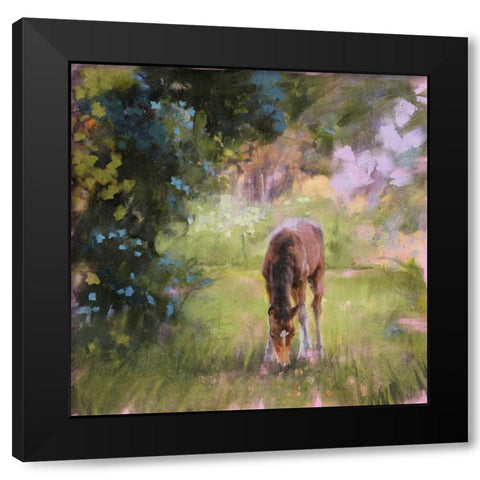 Spring Time Foal II Black Modern Wood Framed Art Print with Double Matting by Blue, Nina