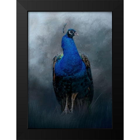 Peacock Prince Black Modern Wood Framed Art Print by Parker, Kelley