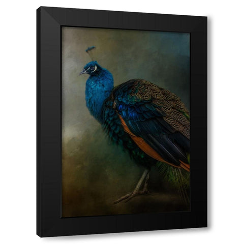 Proud Peacock  Black Modern Wood Framed Art Print by Parker, Kelley