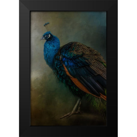 Proud Peacock  Black Modern Wood Framed Art Print by Parker, Kelley