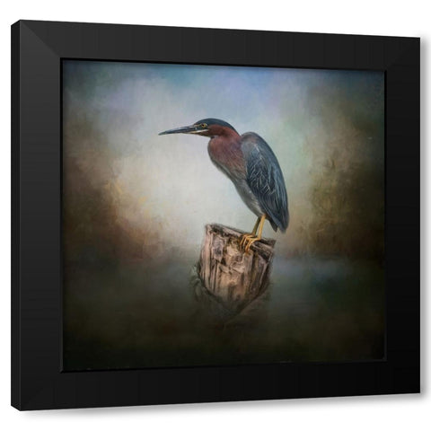 The Perfect Perch Black Modern Wood Framed Art Print with Double Matting by Parker, Kelley