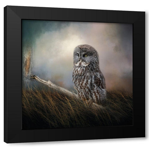Meadow Retreat Black Modern Wood Framed Art Print with Double Matting by Parker, Kelley