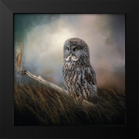 Meadow Retreat Black Modern Wood Framed Art Print by Parker, Kelley