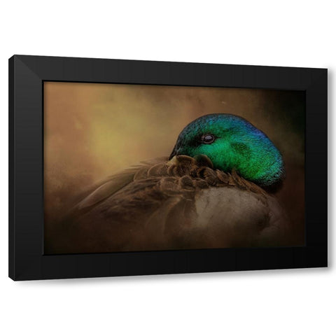 Keeping One Eye Open Black Modern Wood Framed Art Print by Parker, Kelley