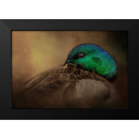 Keeping One Eye Open Black Modern Wood Framed Art Print by Parker, Kelley