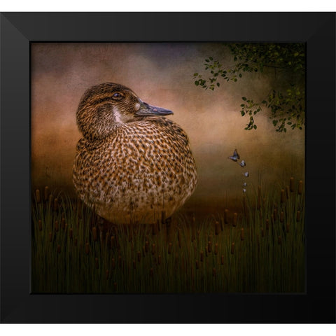 Among the Cattails Black Modern Wood Framed Art Print by Parker, Kelley