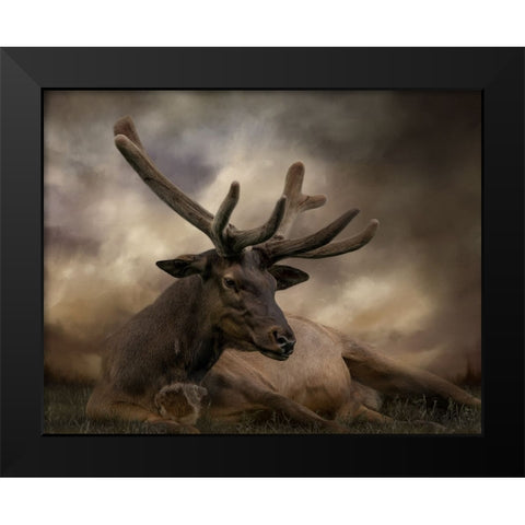 Headstrong Black Modern Wood Framed Art Print by Parker, Kelley