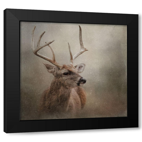 Winter Messenger Black Modern Wood Framed Art Print with Double Matting by Parker, Kelley